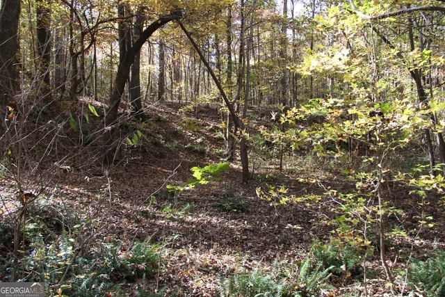 $975,000 | 504 Jenkins Road, Forsyth, GA 31029