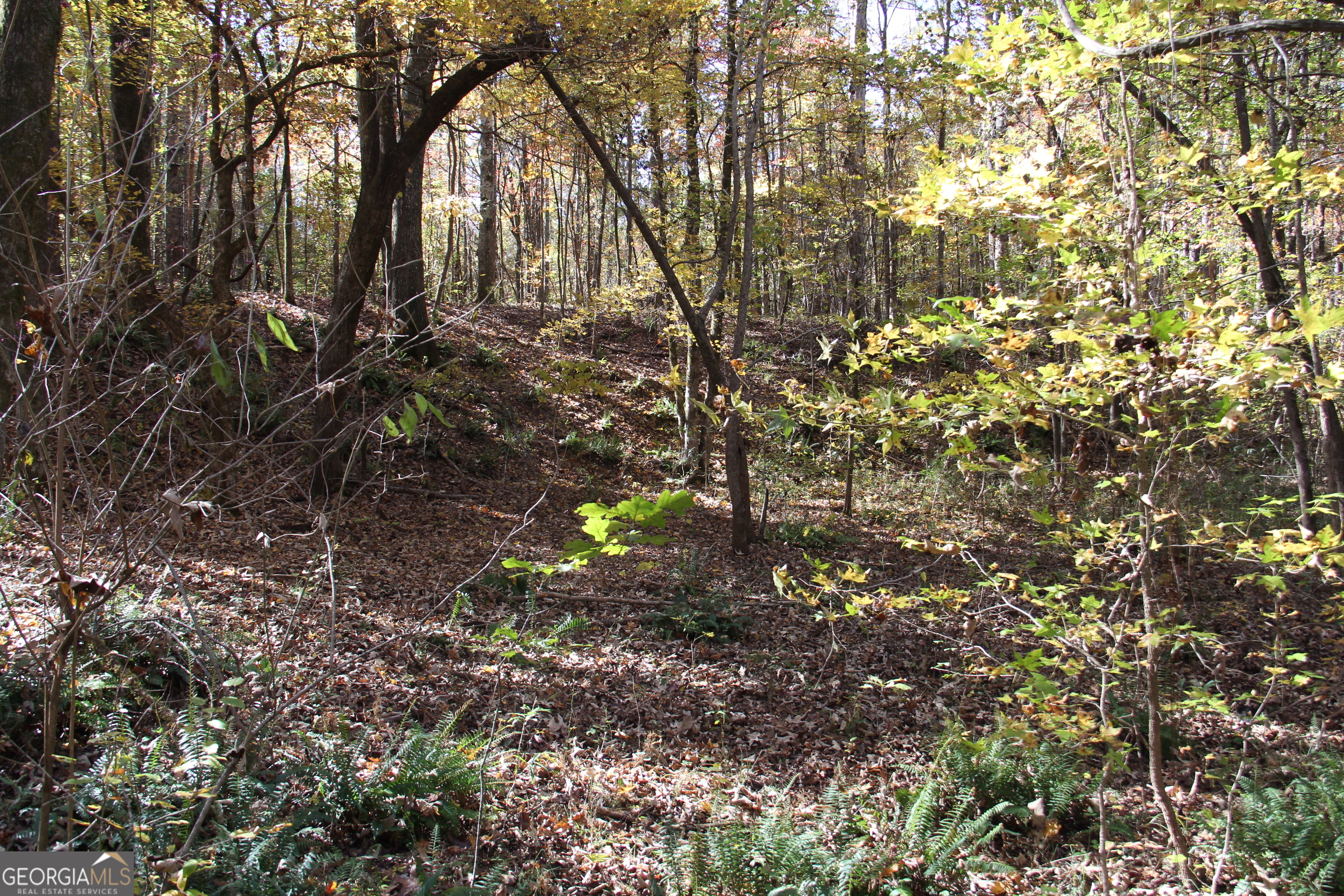 504 Jenkins Road Forsyth, GA 31029 - Photo 11 of 12