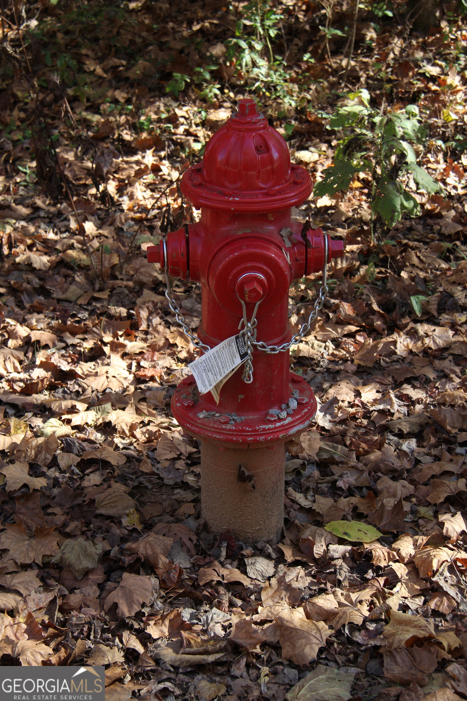 504 Jenkins Road Forsyth, GA 31029 - Photo 12 of 12