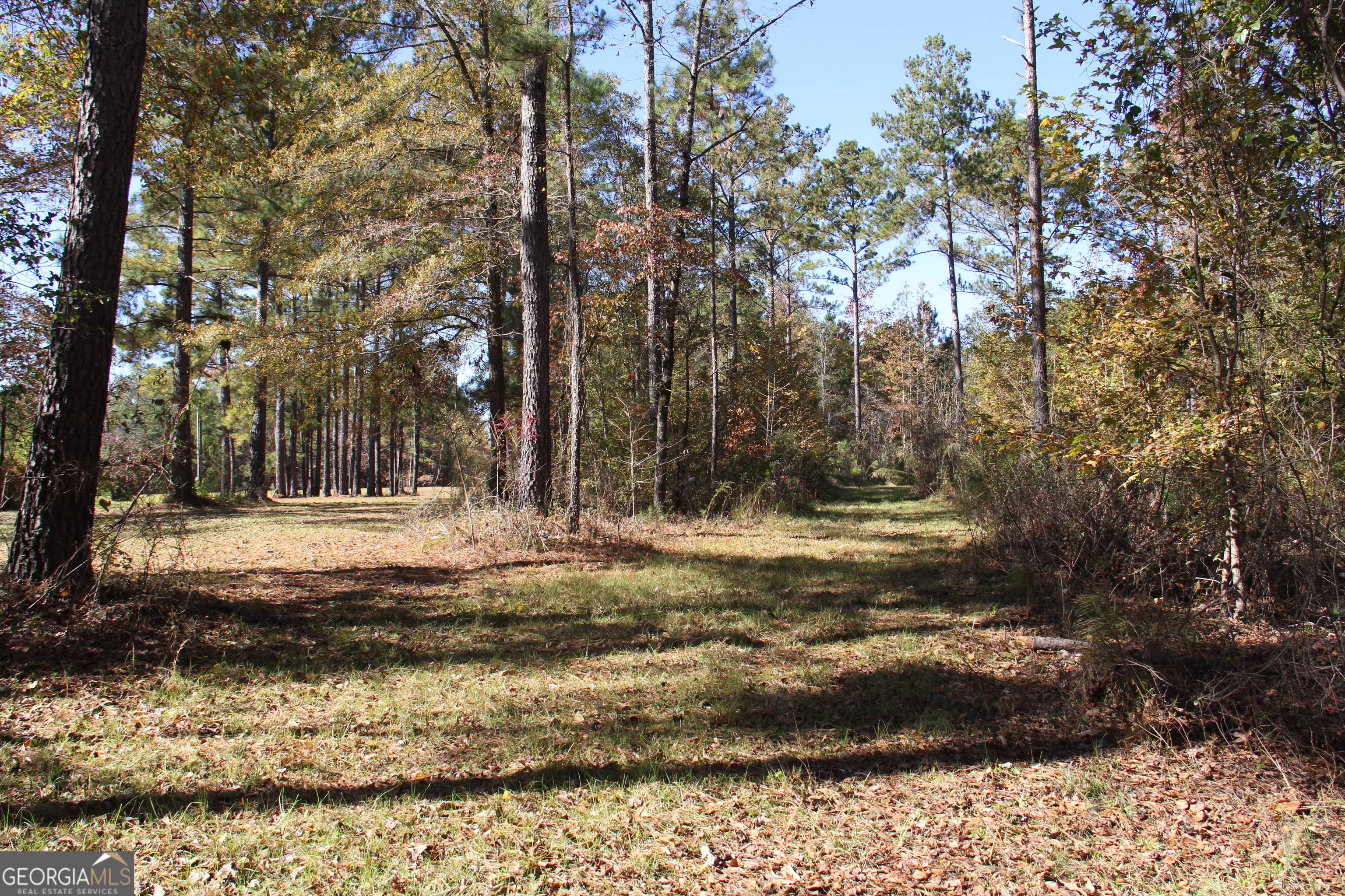 504 Jenkins Road Forsyth, GA 31029 - Photo 3 of 12