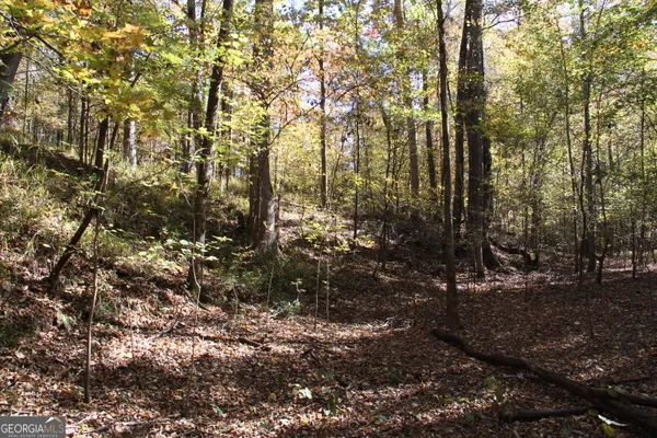 $975,000 | 504 Jenkins Road, Forsyth, GA 31029