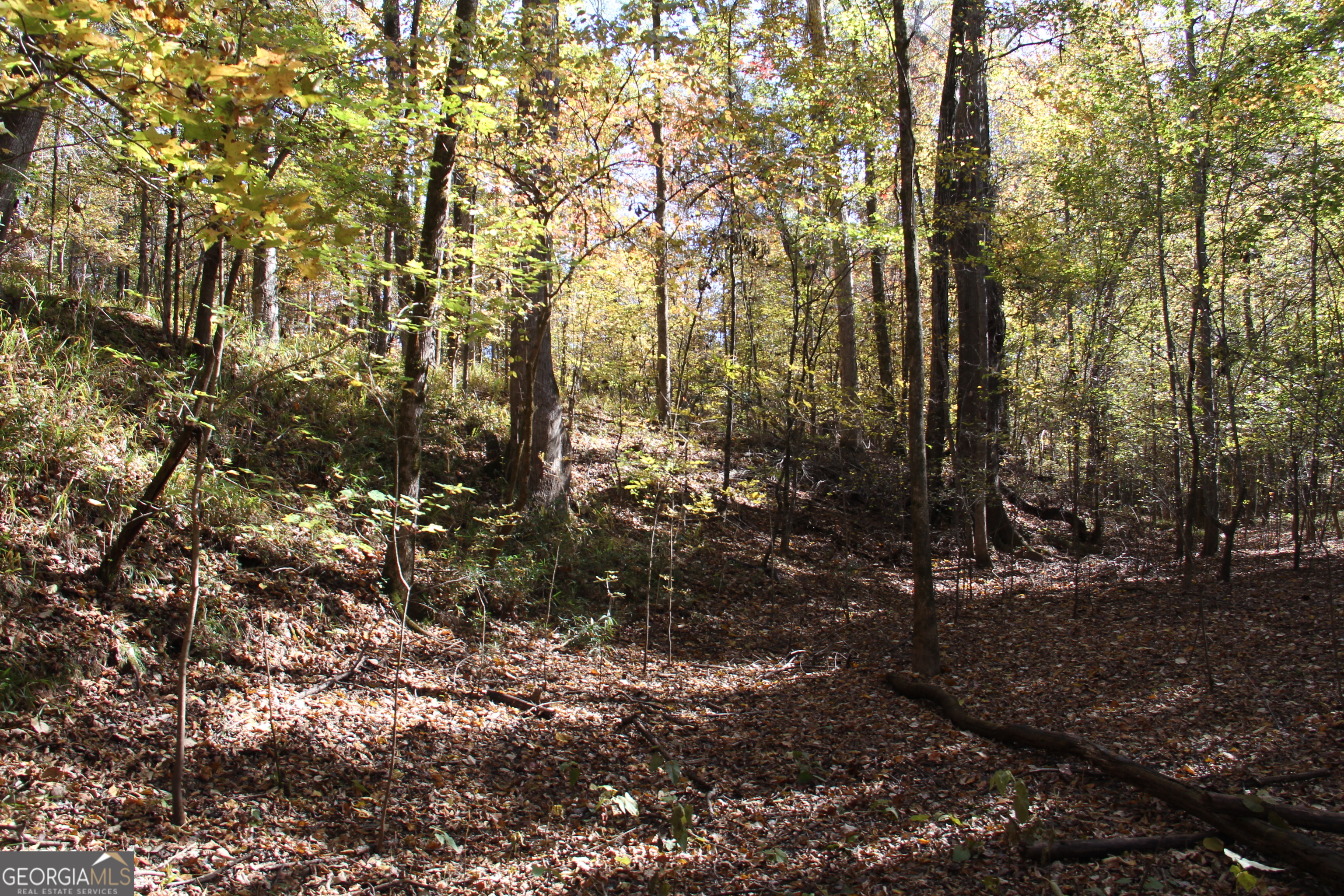 504 Jenkins Road Forsyth, GA 31029 - Photo 5 of 12