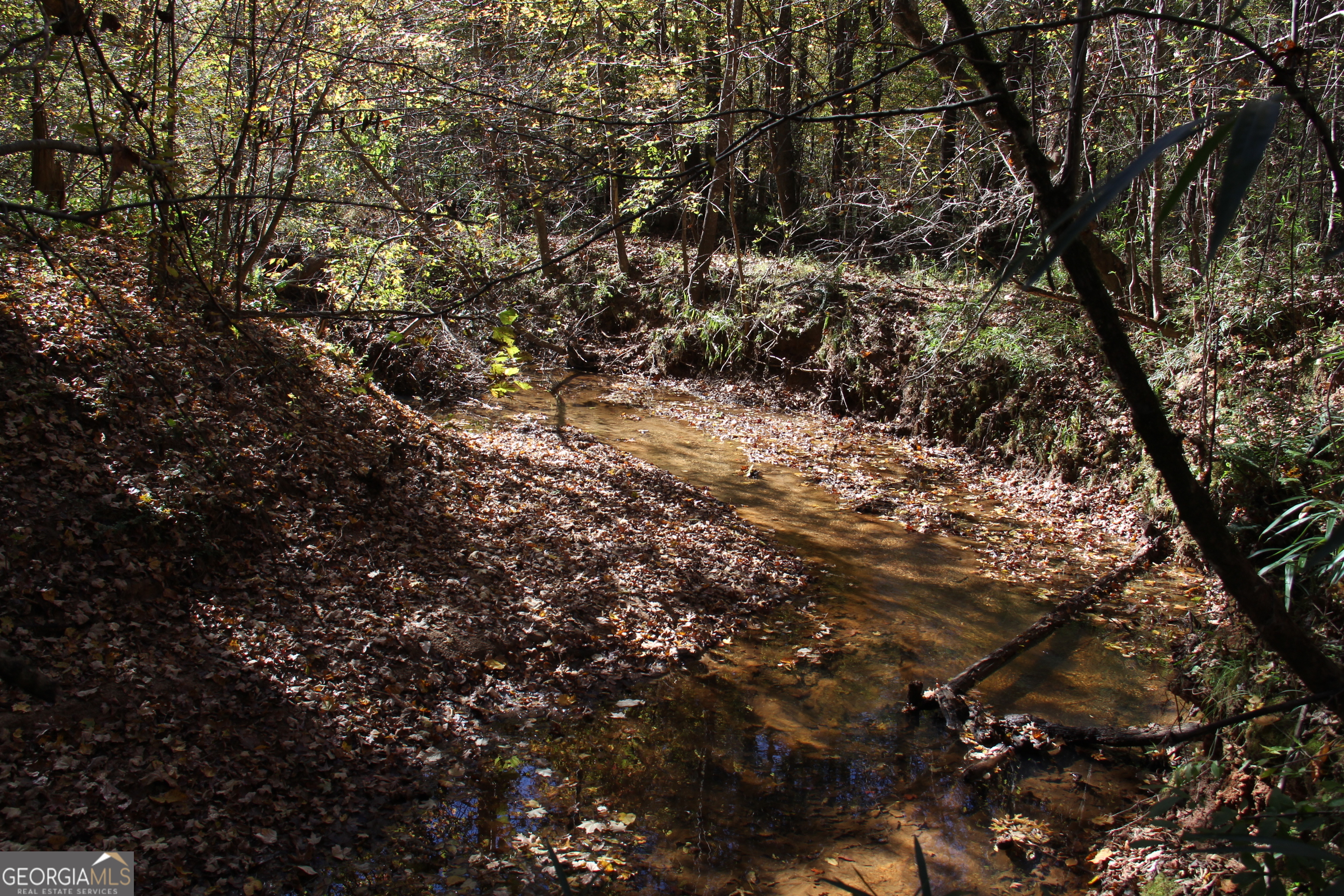 504 Jenkins Road Forsyth, GA 31029 - Photo 6 of 12