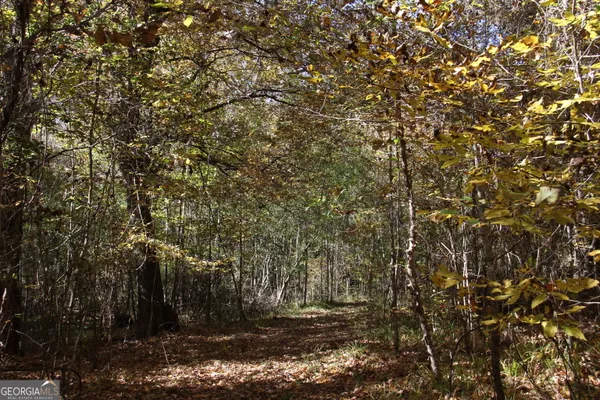 $975,000 | 504 Jenkins Road, Forsyth, GA 31029