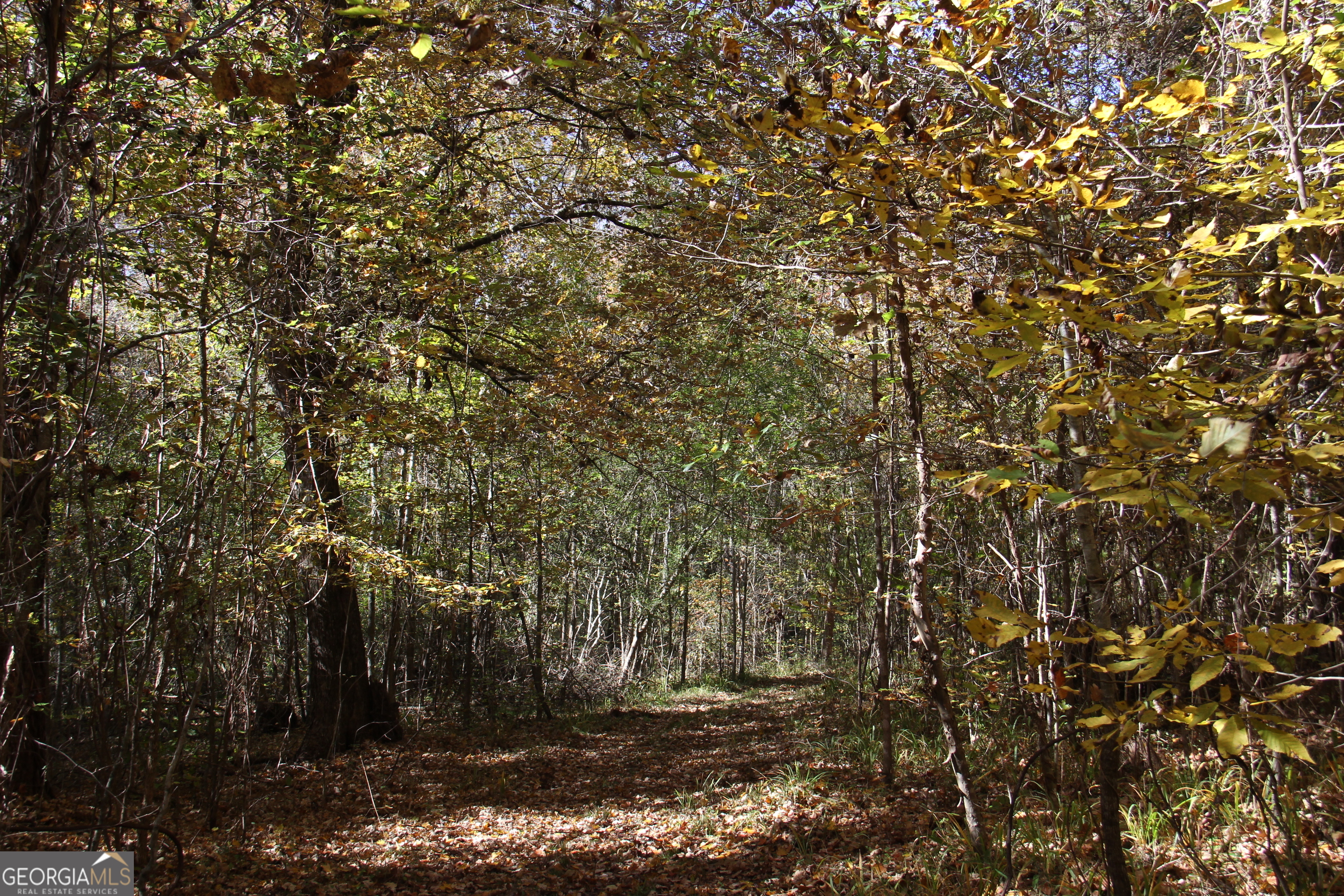 504 Jenkins Road Forsyth, GA 31029 - Photo 7 of 12