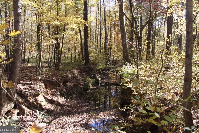 $975,000 | 504 Jenkins Road, Forsyth, GA 31029