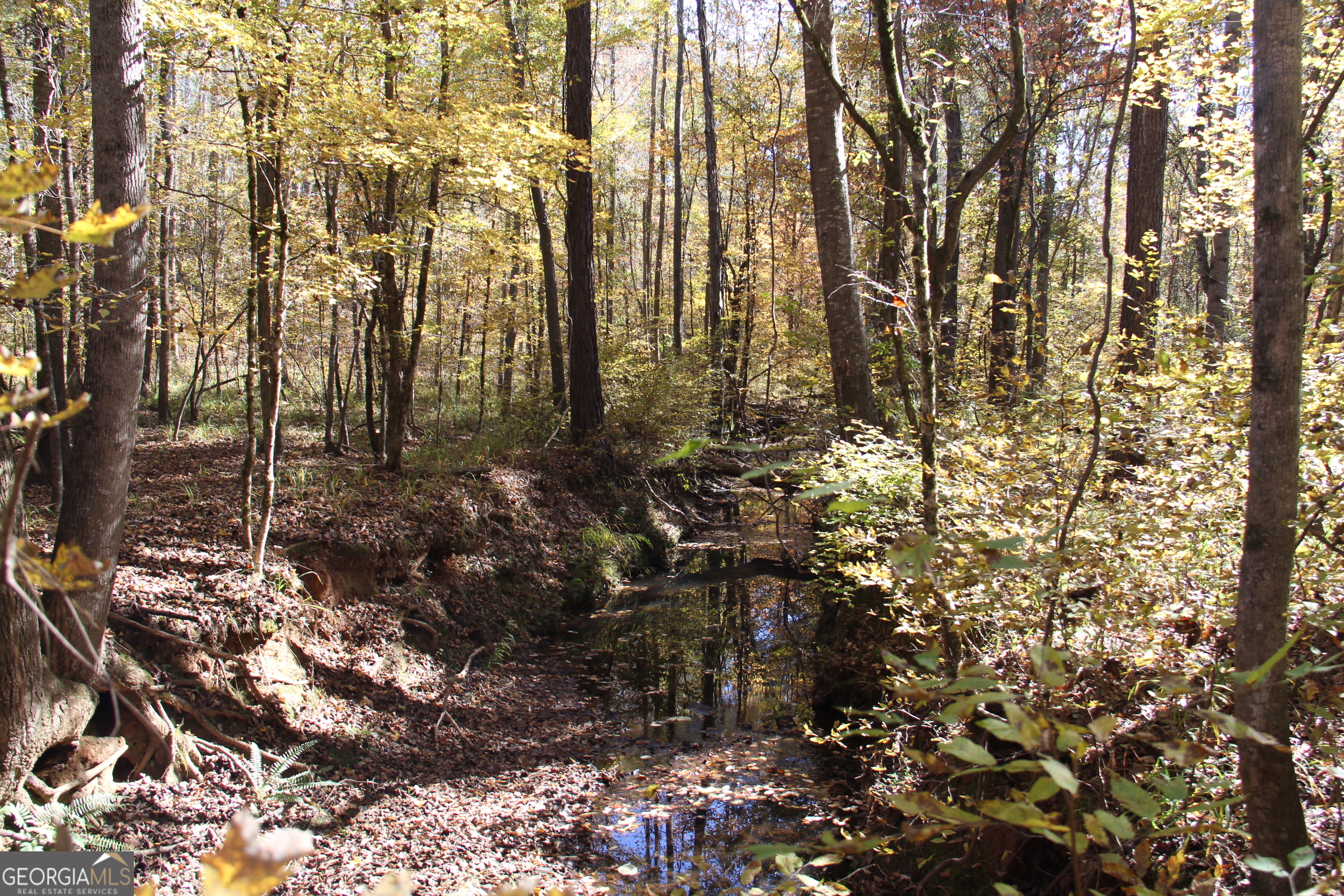 504 Jenkins Road Forsyth, GA 31029 - Photo 8 of 12