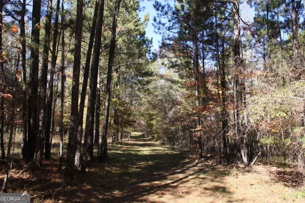$975,000 | 504 Jenkins Road, Forsyth, GA 31029