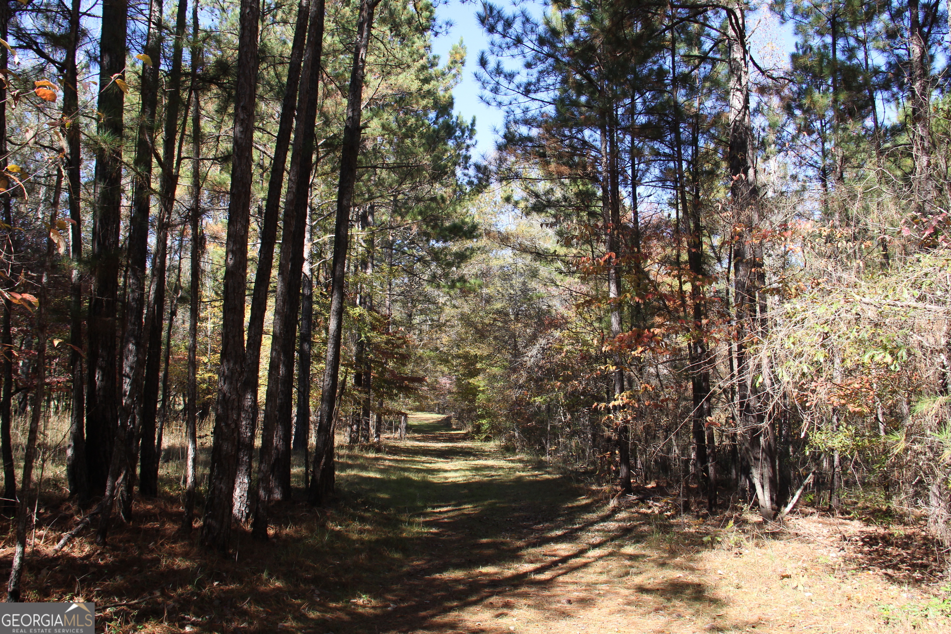 504 Jenkins Road Forsyth, GA 31029 - Photo 9 of 12