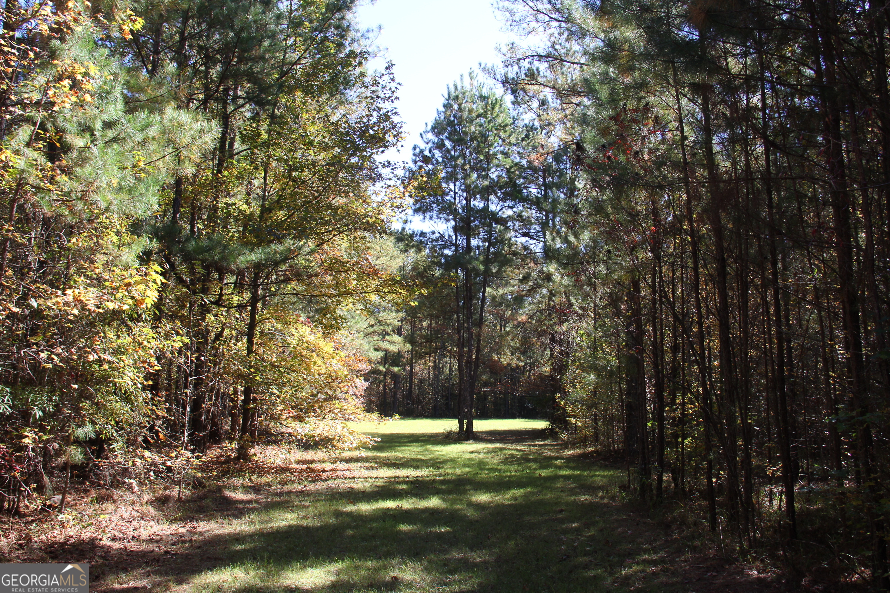 504 Jenkins Road Forsyth, GA 31029 - Photo 10 of 12