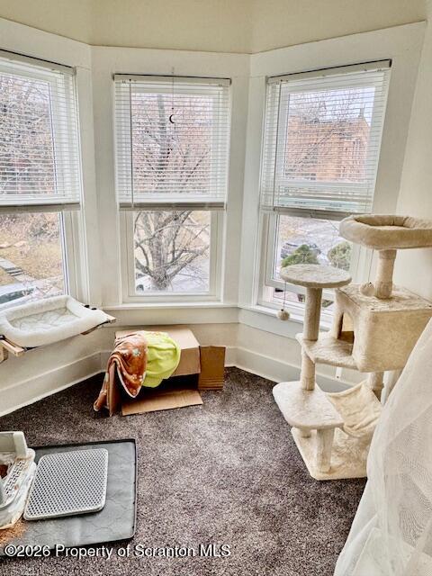 815 Monroe Avenue Scranton, PA 18510 - Photo 36 of 38 Monroe Attic Nook