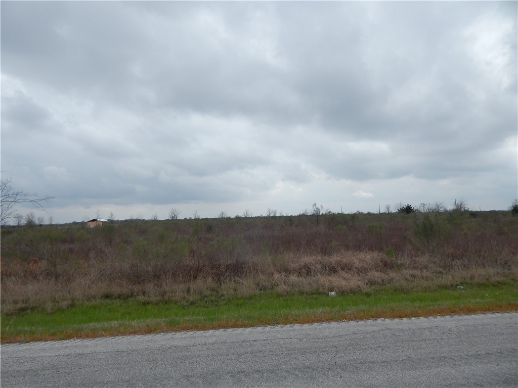 Tbd Tbd Battle Road Beasley, TX 77417 - Photo 1 of 1