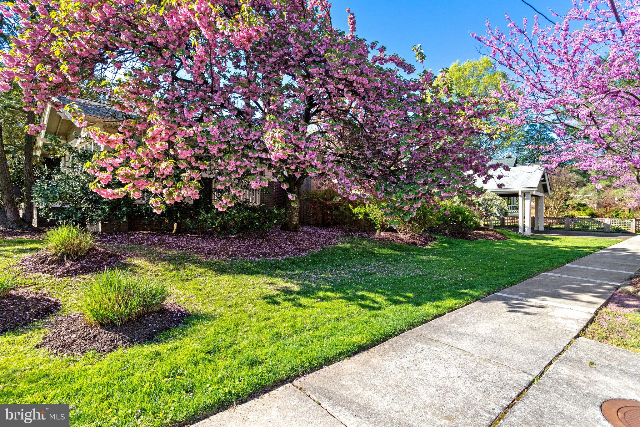 2436 North Glebe Road Arlington, VA 22207 - Photo 2 of 74 The carport is in the distance...perfect design.