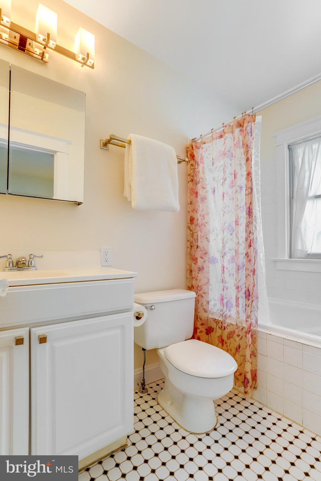 2436 North Glebe Road Arlington, VA 22207 - Photo 38 of 74 Primary bathroom