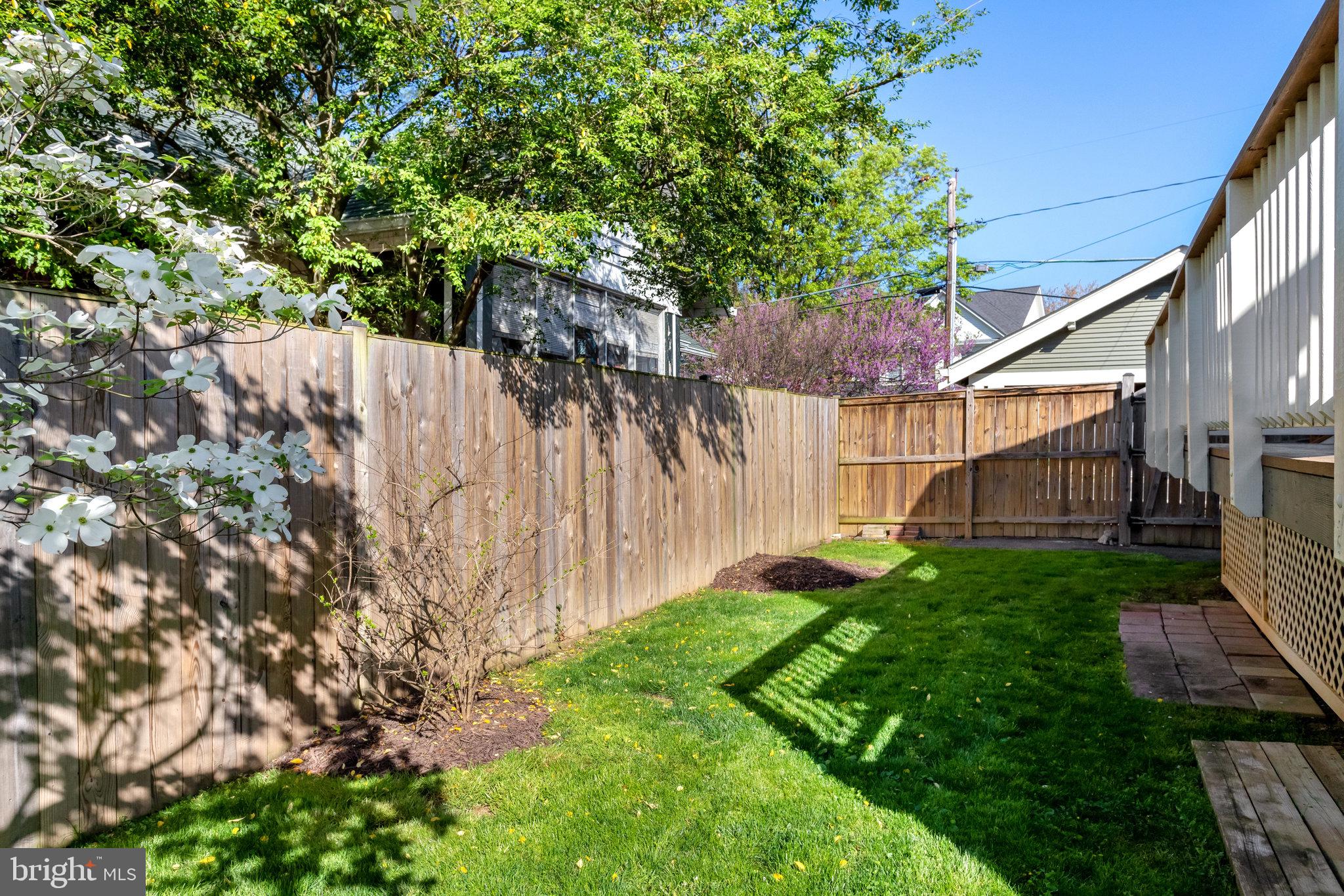 2436 North Glebe Road Arlington, VA 22207 - Photo 67 of 74 Check out the gorgeous dogwood.