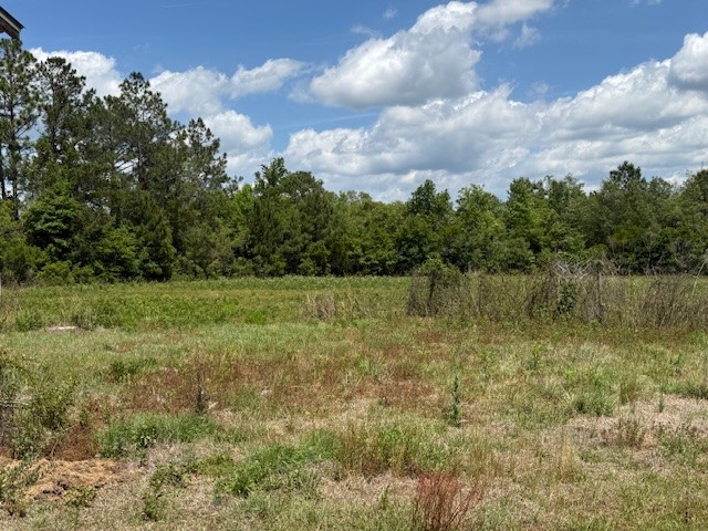 16575 Old Post Road Waynesville, GA 31566 - Photo 38 of 42