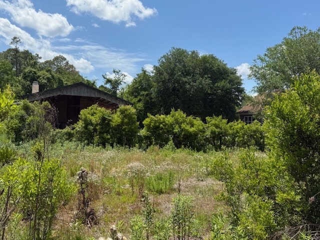 16575 Old Post Road Waynesville, GA 31566 - Photo 40 of 42