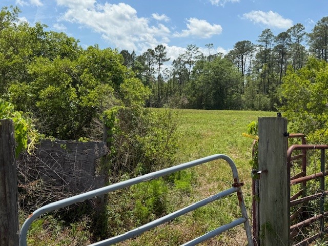 16575 Old Post Road Waynesville, GA 31566 - Photo 41 of 42