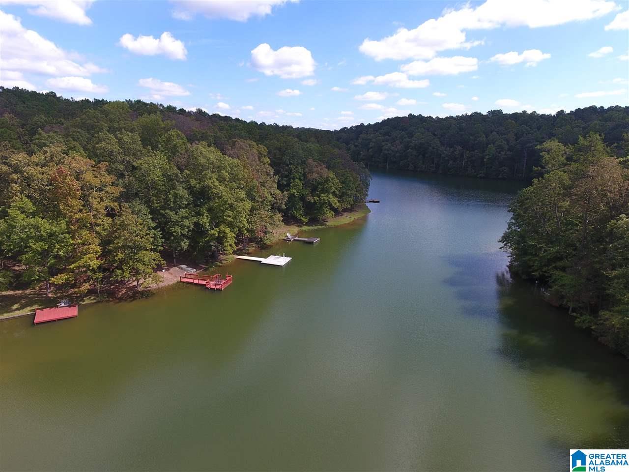 100 Fox Run Lineville, AL 36266 - Photo 24 of 30