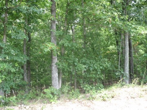 28 North No Pone Valley Road Decatur, TN 37322 - Photo 2 of 3