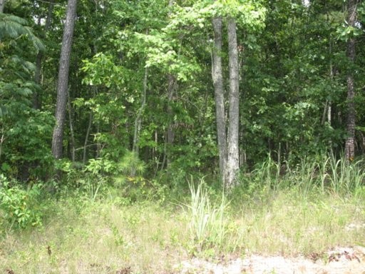 28 North No Pone Valley Road Decatur, TN 37322 - Photo 3 of 3
