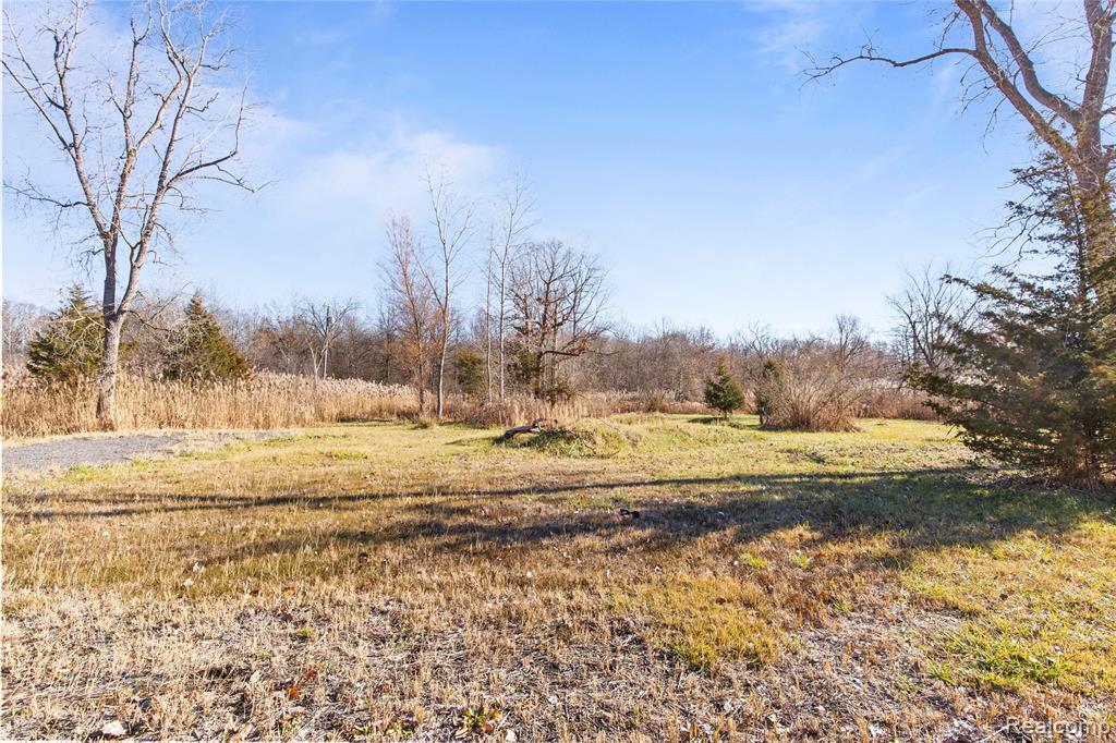 23901 Sumpter Road Belleville, MI 48111 - Photo 14 of 15