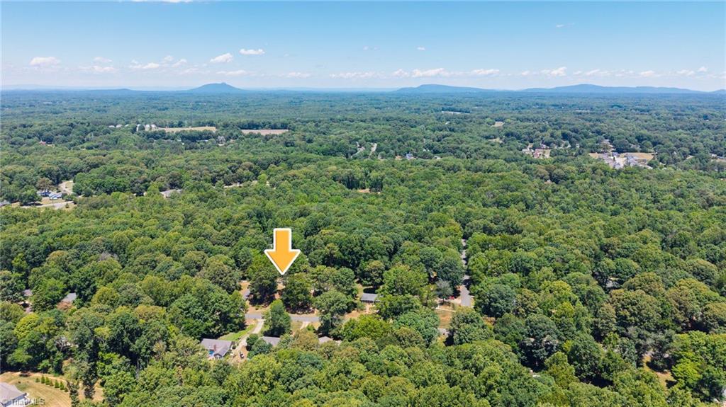 5316 Bracy Ridge Court Pfafftown, NC 27040 - Photo 47 of 48