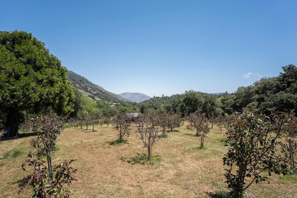 1315 Farmer Road Julian, CA 92036 - Photo 73 of 74