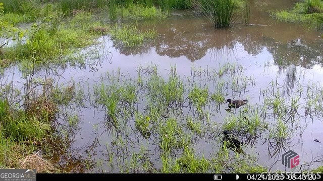 0 Moore Road Elberton, GA 30635 - Photo 67 of 67
