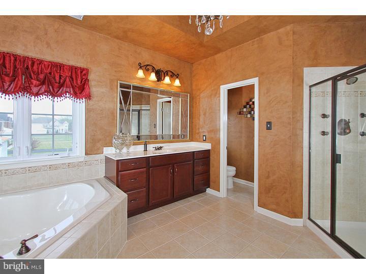 2 Alexis Court Mickleton, NJ 08056 - Photo 20 of 25 Master Bathroom