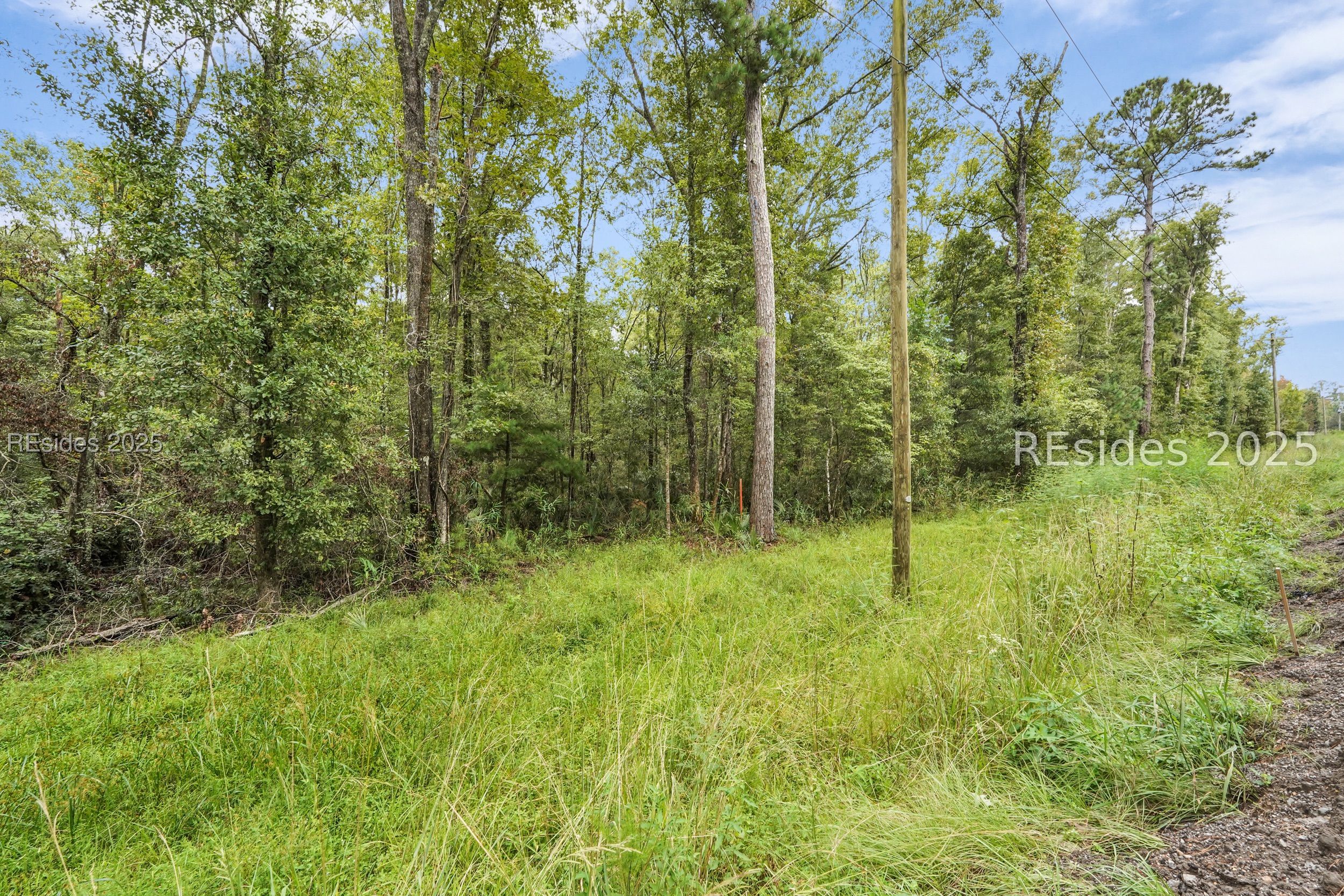 0 Freedom Parkway Hardeeville, SC 29927 - Photo 12 of 28