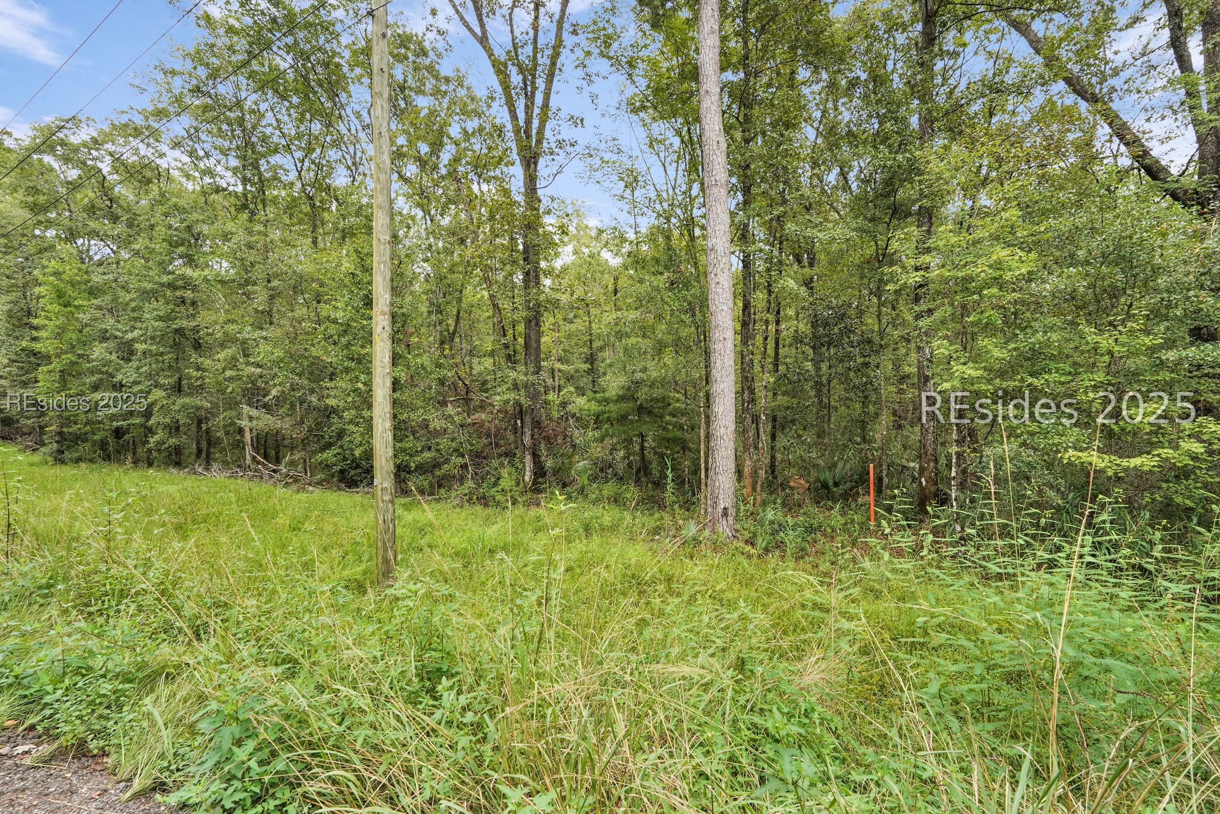 0 Freedom Parkway Hardeeville, SC 29927 - Photo 13 of 28