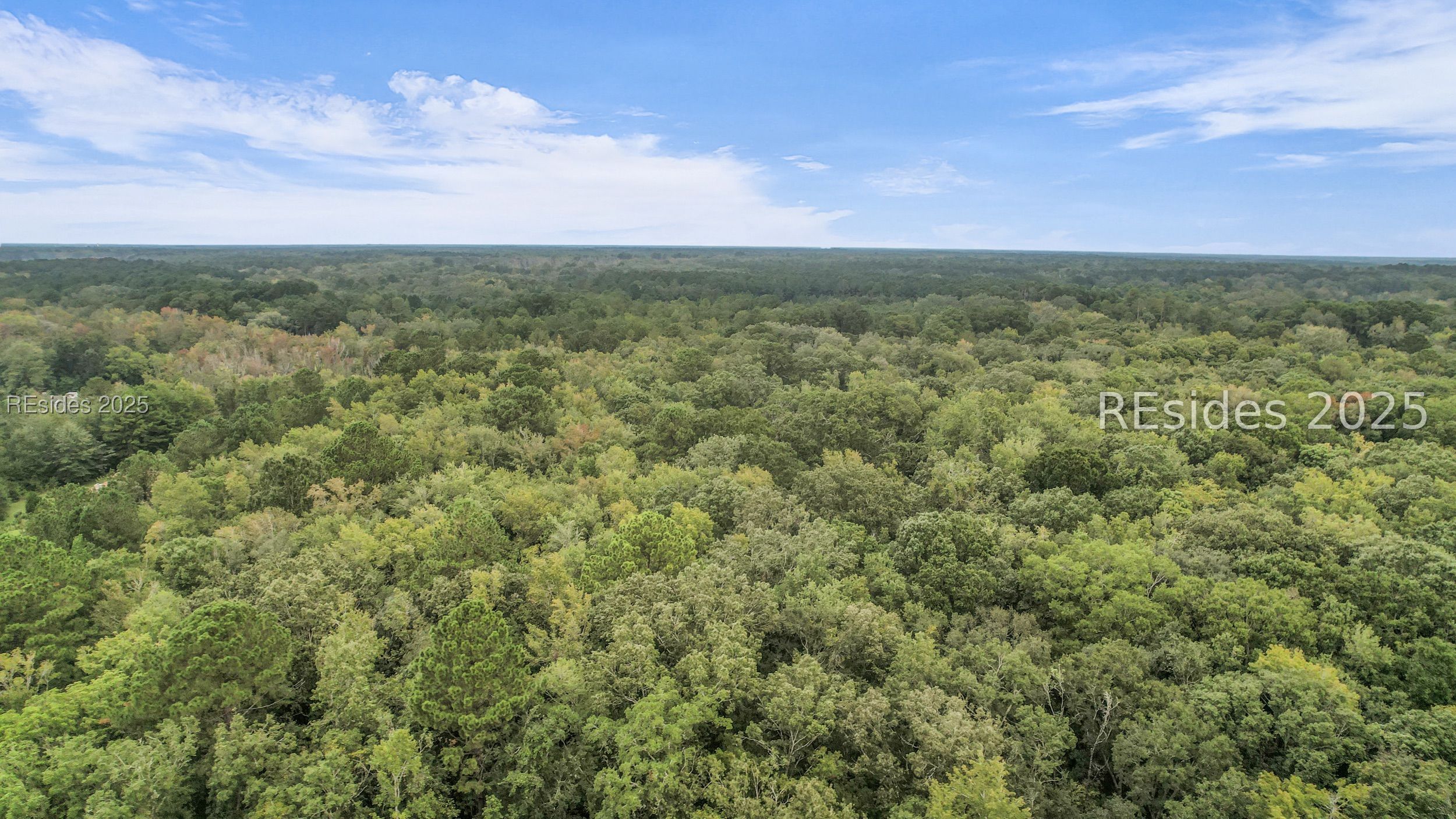 0 Freedom Parkway Hardeeville, SC 29927 - Photo 23 of 28