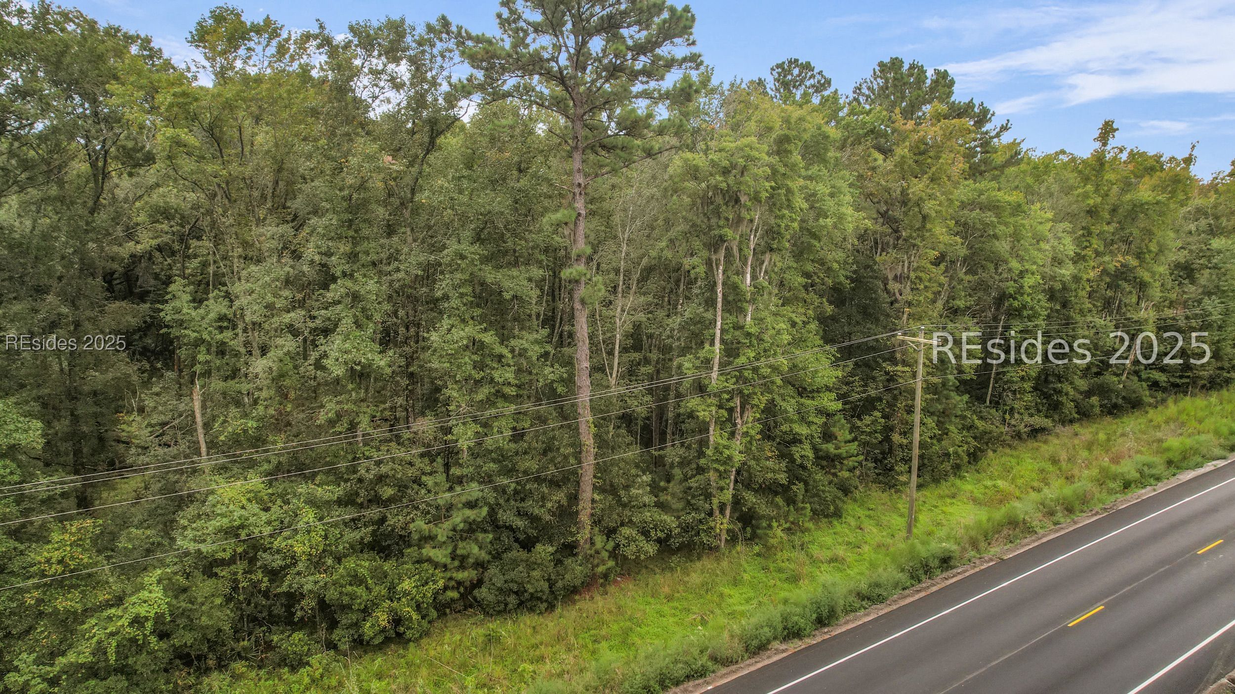 0 Freedom Parkway Hardeeville, SC 29927 - Photo 4 of 28