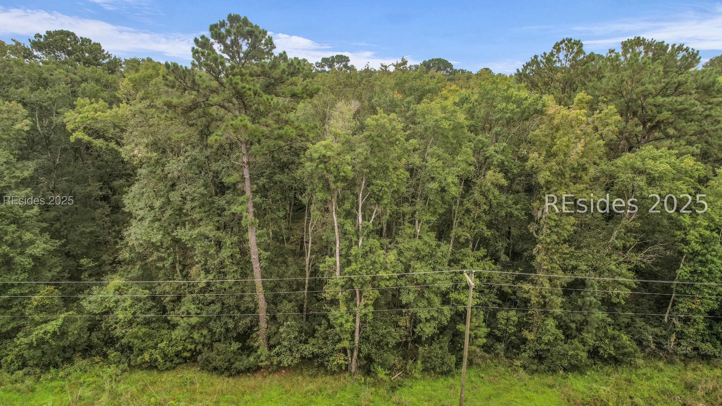0 Freedom Parkway Hardeeville, SC 29927 - Photo 6 of 28