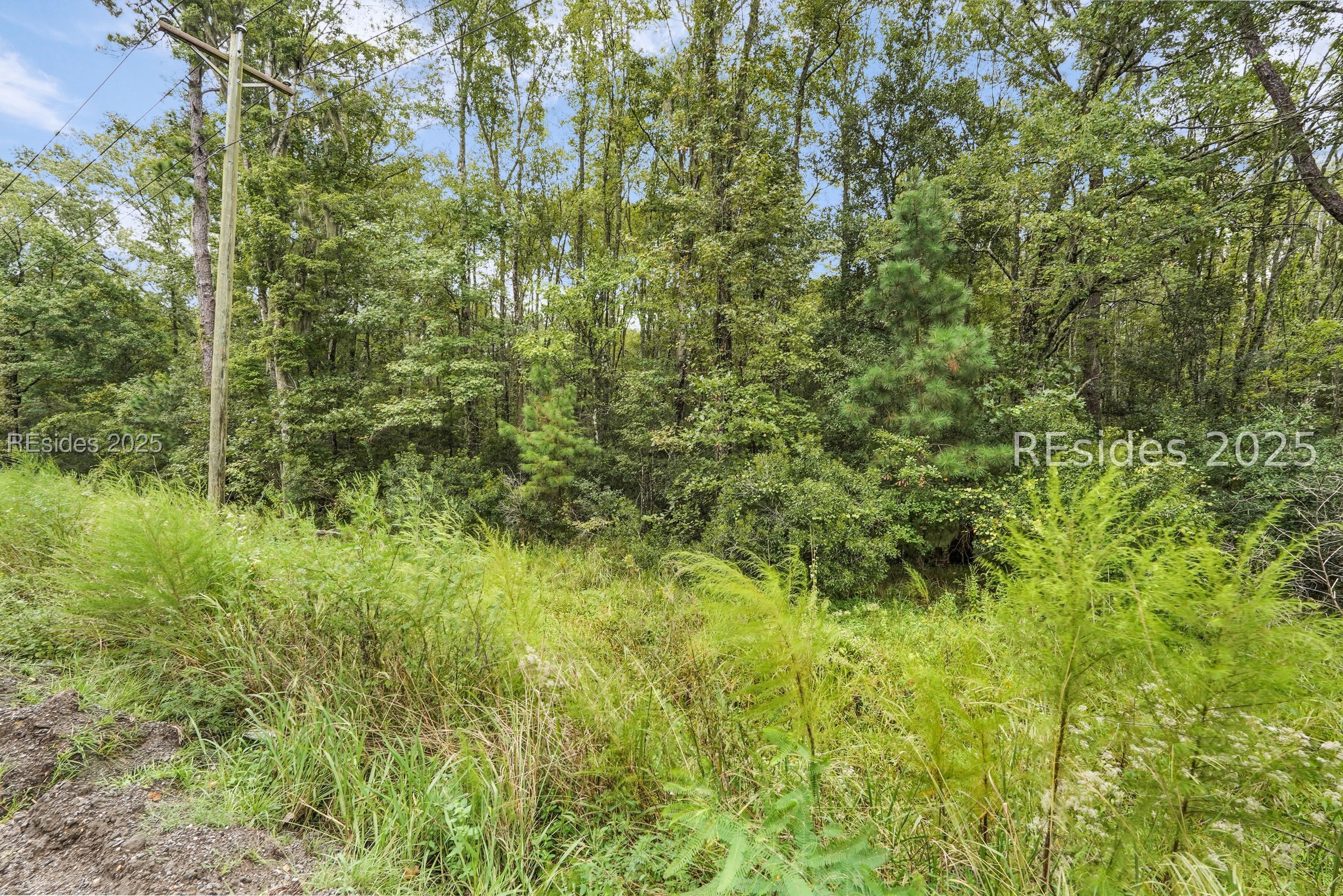 0 Freedom Parkway Hardeeville, SC 29927 - Photo 9 of 28