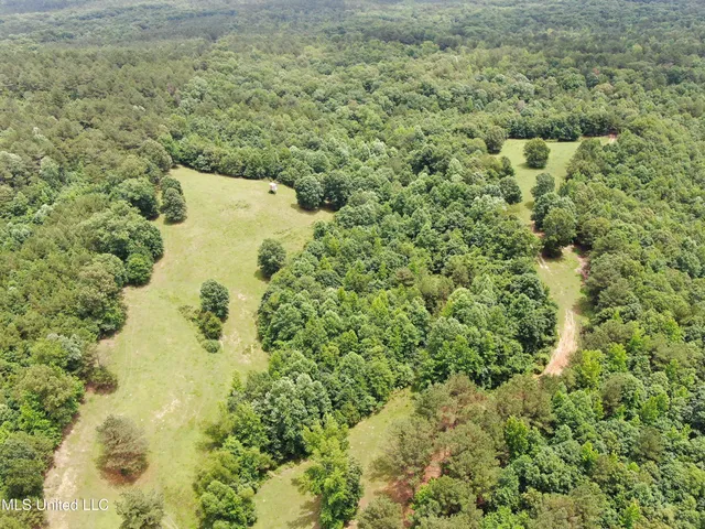 $385,000 | 0 Tanner Drive, Blue Mountain, MS 38610