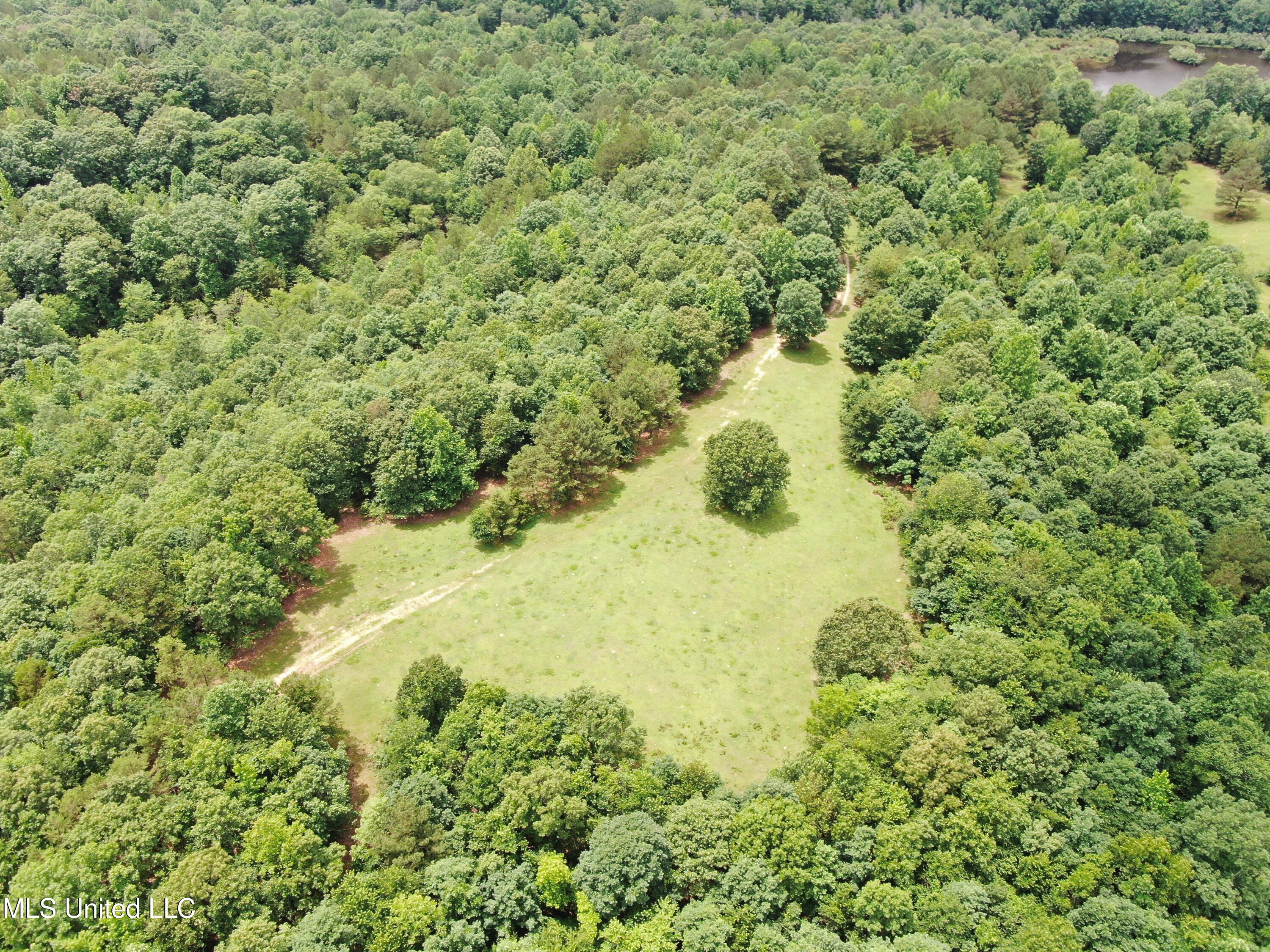 0 Tanner Drive Blue Mountain, MS 38610 - Photo 11 of 34 DJI_0606