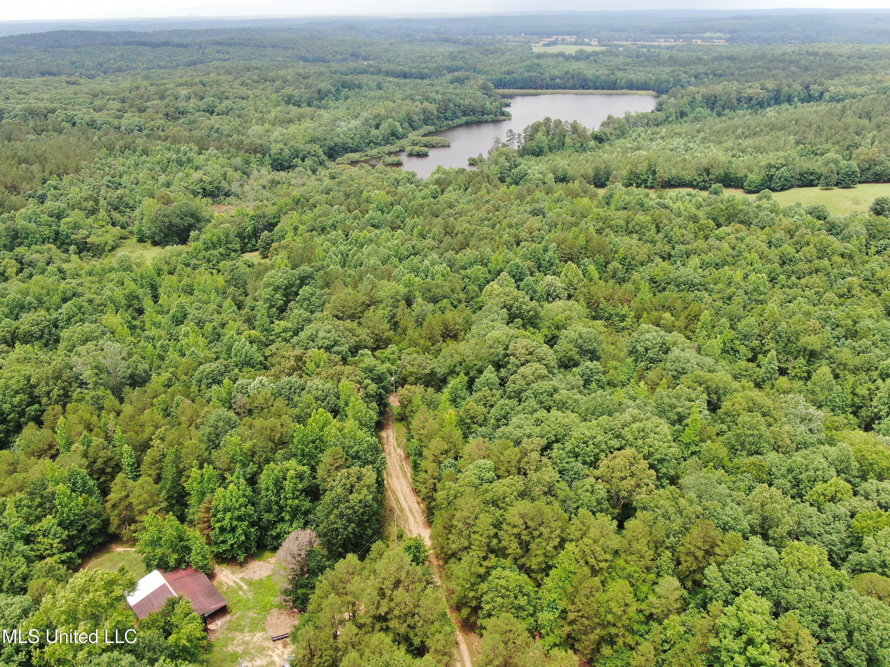 0 Tanner Drive Blue Mountain, MS 38610 - Photo 12 of 34 DJI_0608