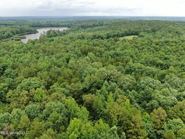 $385,000 | 0 Tanner Drive, Blue Mountain, MS 38610