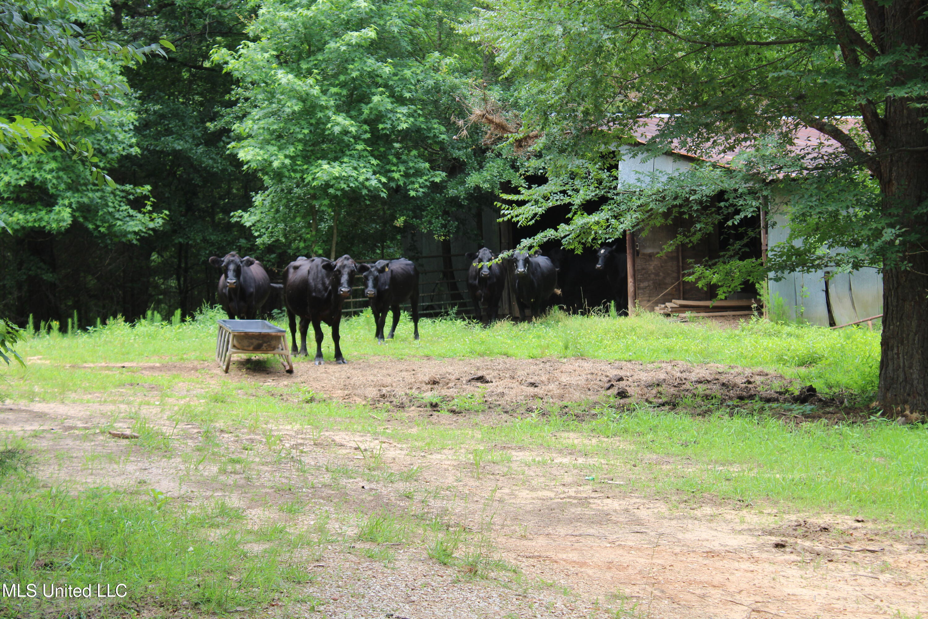 0 Tanner Drive Blue Mountain, MS 38610 - Photo 14 of 34 IMG_6207