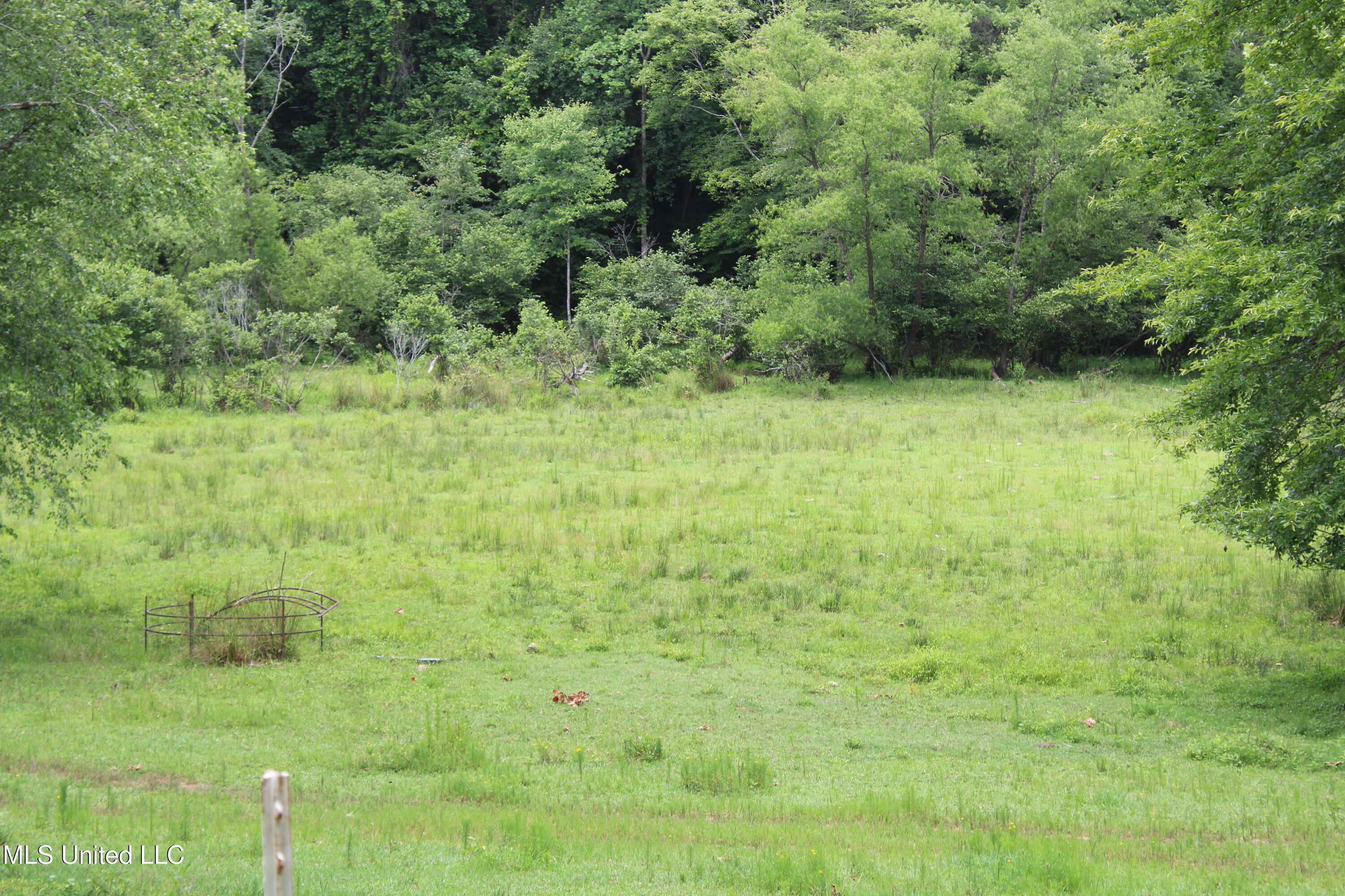 0 Tanner Drive Blue Mountain, MS 38610 - Photo 15 of 34 IMG_6208