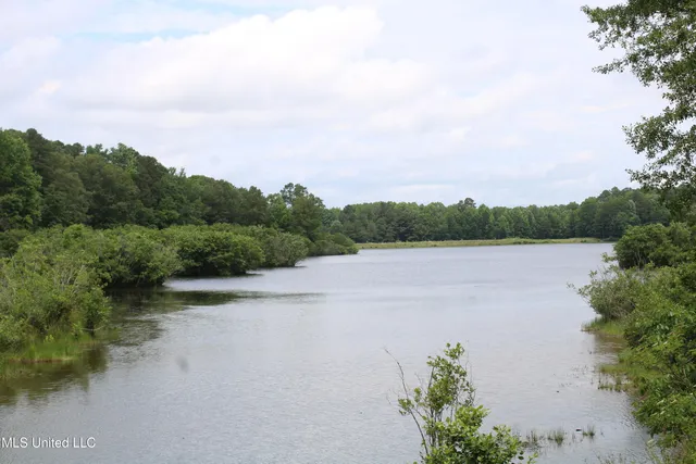 $385,000 | 0 Tanner Drive, Blue Mountain, MS 38610