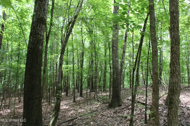 $385,000 | 0 Tanner Drive, Blue Mountain, MS 38610