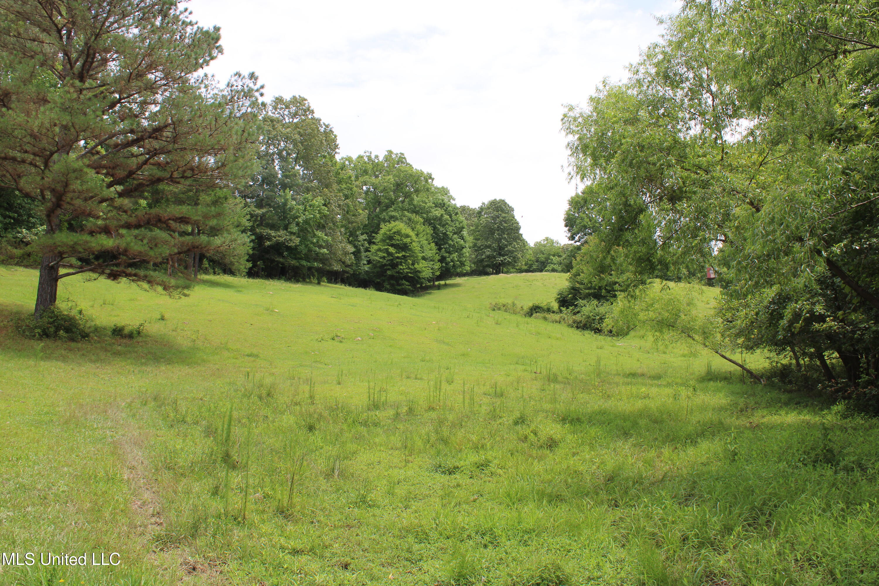 0 Tanner Drive Blue Mountain, MS 38610 - Photo 20 of 34 IMG_6217