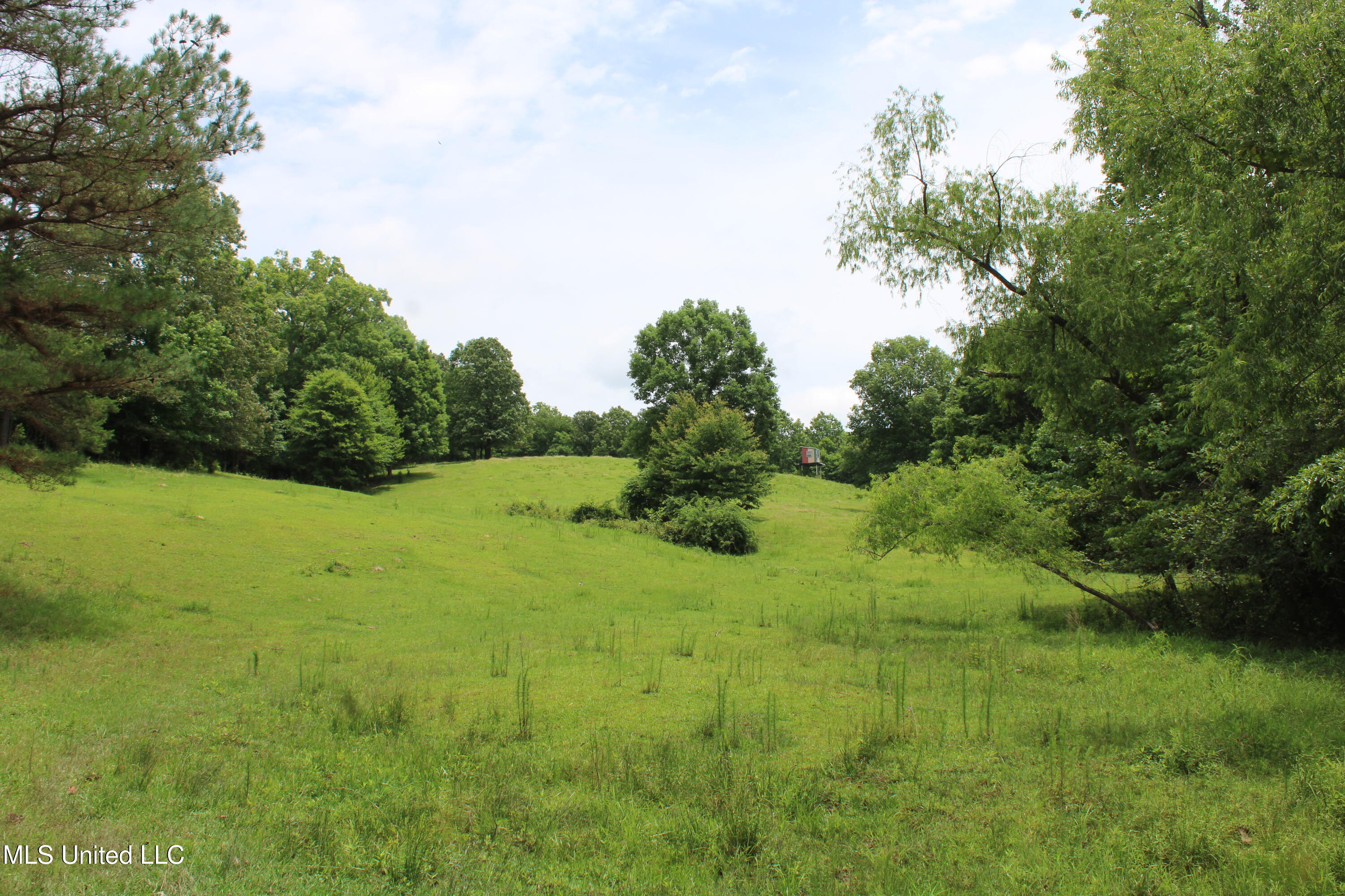 0 Tanner Drive Blue Mountain, MS 38610 - Photo 21 of 34 IMG_6218