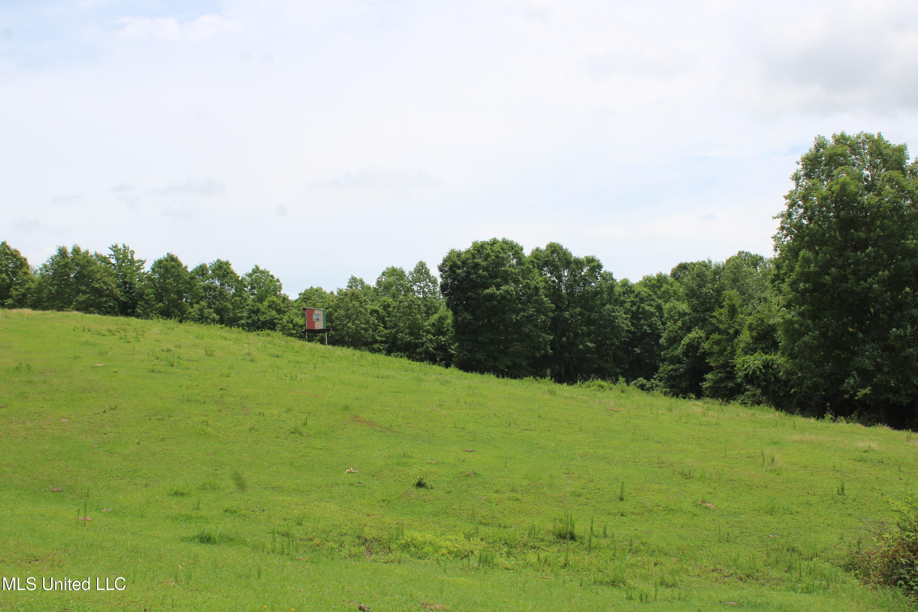 0 Tanner Drive Blue Mountain, MS 38610 - Photo 22 of 34 IMG_6219