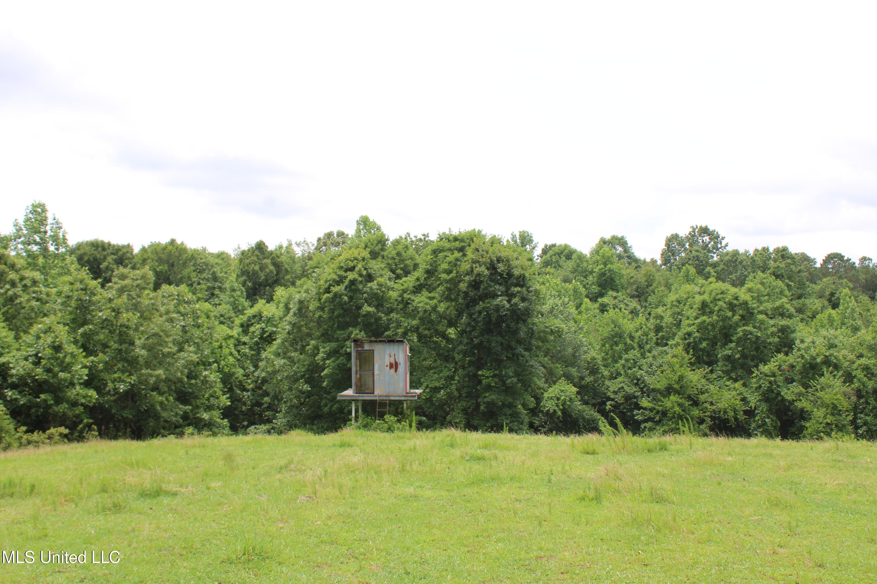 0 Tanner Drive Blue Mountain, MS 38610 - Photo 23 of 34 IMG_6220