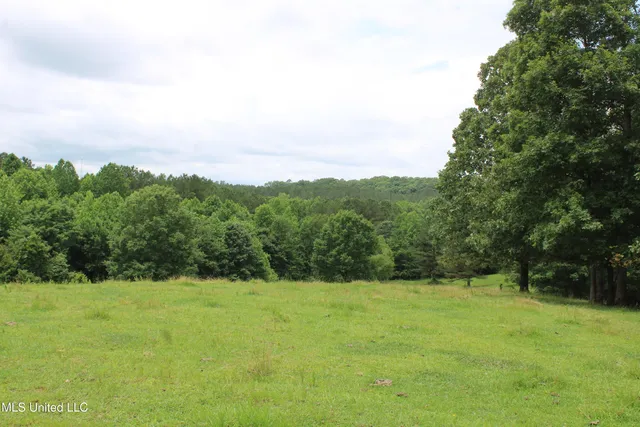 $385,000 | 0 Tanner Drive, Blue Mountain, MS 38610
