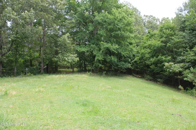 $385,000 | 0 Tanner Drive, Blue Mountain, MS 38610